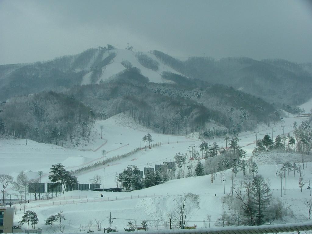 White Cabin Pyeongchang Buitenkant foto